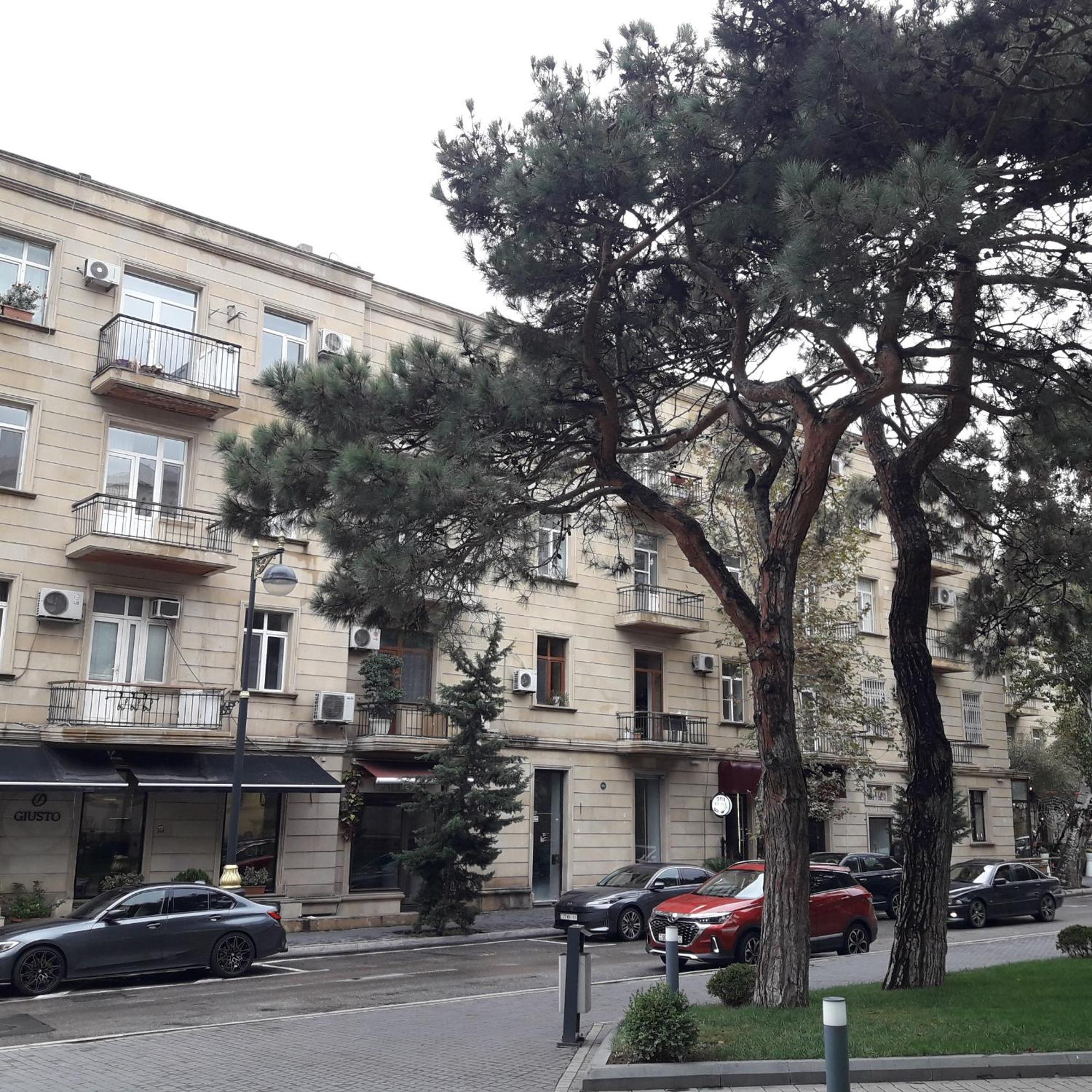 Apartment Niyazi 5 Baku Zewnętrze zdjęcie